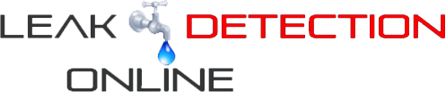 LeakDetectionOnline Logo Portfolio